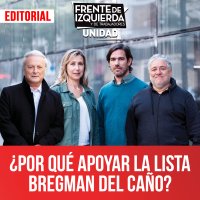 ¿Por qué apoyar la lista Bregman Del Caño?