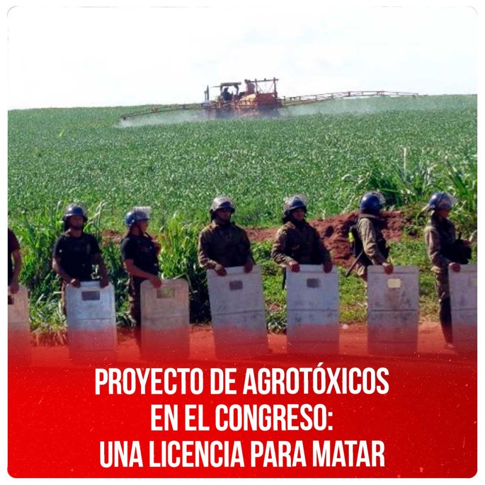 Proyecto de agrotóxicos en el Congreso: una licencia para matar