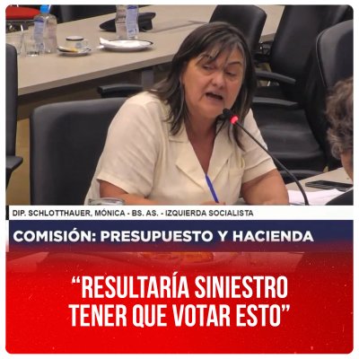 Schlotthauer en la Comisión de Presupuesto: “Resultaría siniestro tener que votar esto”