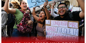 19S Hagamos una gran Marcha de la Bronca