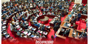 Discapacidad / ¿Por qué se abstuvo el Frente de Izquierda?