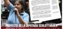 Proyecto de la Diputada Schlotthauer “Contra el presupuesto de Milei que aumenta el hambre y la pobreza presentamos un plan de emergencia obrero y popular” (Expediente 6790-D-2024)