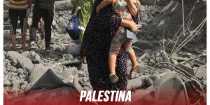 Palestina / 15.000 personas atrapadas en Rafah