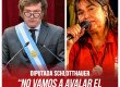 Diputada Schlotthauer “No vamos a avalar el Presupuesto salvaje de Milei”