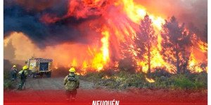 Neuquén / Realizamos un aporte económico