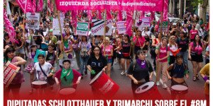 Diputadas Schlotthauer y Trimarchi sobre el #8M / “Marchamos contra los ataques de Milei y sus cómplices”