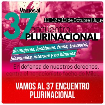 Vamos al 37° Encuentro Plurinacional de Mujeres, Lesbianas, Travestis, Trans, Bisexuales, Intersexuales y No Binaries en Jujuy