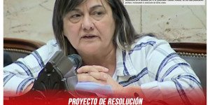 Proyecto de resolución / Repudio a la judicialización de la protesta en Jujuy