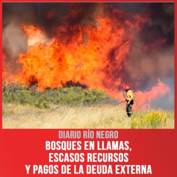 Diario Río Negro / Bosques en llamas, escasos recursos y pagos de la Deuda Externa